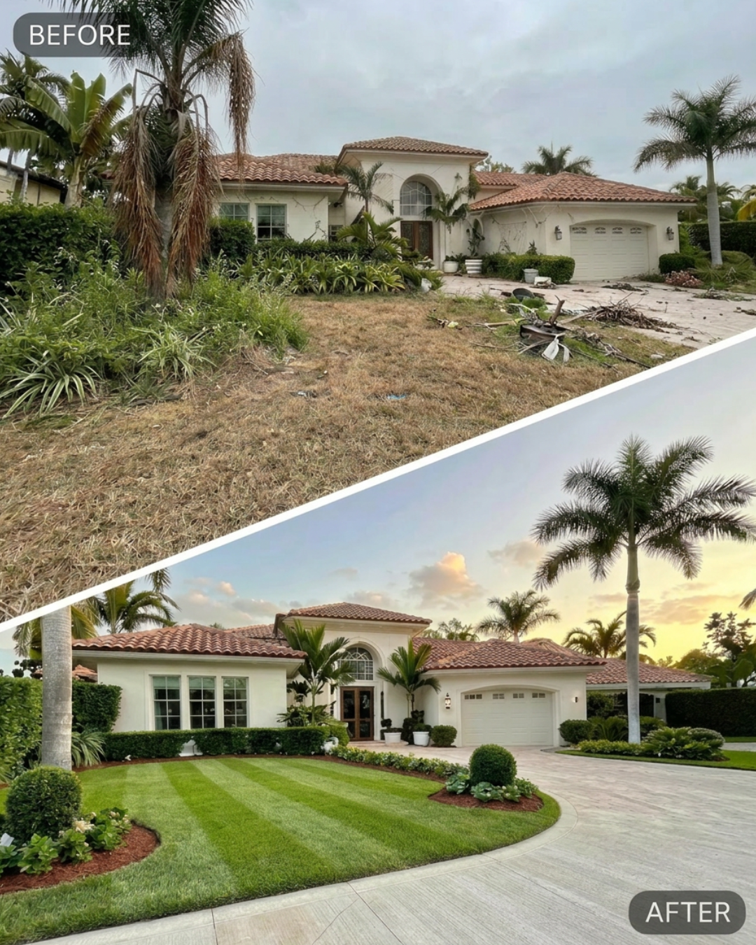 A real Sarasota property reclaimed from years of neglect by Tropical Haven Property Solutions