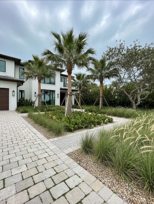 Coastal modern home with gravel garden and young palm installation